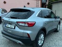 Obraz 3