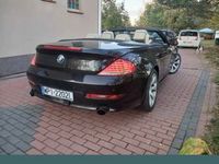 Obraz 3