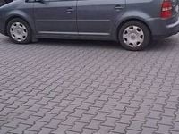 Obraz 3