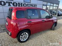 używany Fiat Panda klima III (2011-)