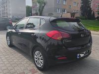 Obraz 3