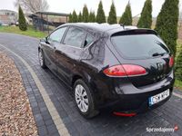 Obraz 3