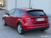 Używany Ford Focus 150 KM (110 kW) 2017 Bordowy Hatchback