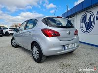 Obraz 3