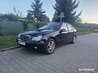 Obraz 3