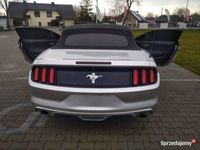 używany Ford Mustang Mustang Cabrio 3,7 v6 304 KMCabrio 3,7 v6 304 KM