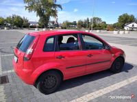 Obraz 3