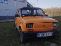 Obraz 1