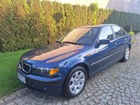 Obraz 3