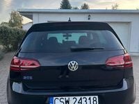 Obraz 3