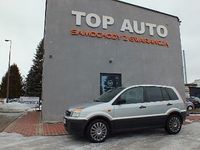 Używany Ford Fusion 100 KM (73 kW) 2008 Szary Hatchback