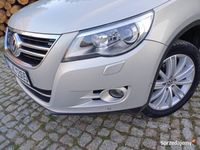 Obraz 3