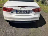 Obraz 3