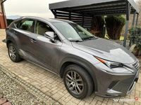 używany Lexus NX300 238 KM AWD - HAK