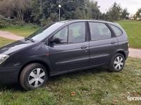 Obraz 3