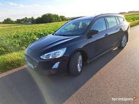 Używany Ford Focus 2019