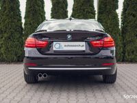używany BMW 420 Seria 4 d xDrive, Luxury Line, Salon PL, Bezwypadkowy