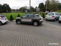 używany Citroën C4 Cactus 