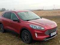 Używany Ford Escape 2022 SUV