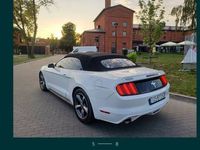 używany Ford Mustang Cabrio 3,7 V6 305KM bardzo zadbany!