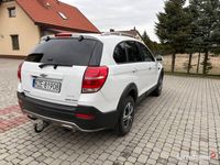Obraz 3