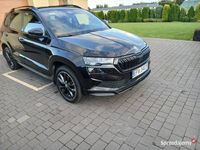 Obraz 3