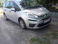 Obraz 3