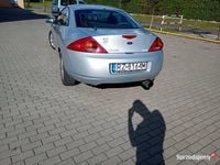 Obraz 3