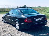 Obraz 3