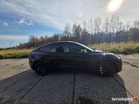 Używany Tesla Model Y 2022 SUV
