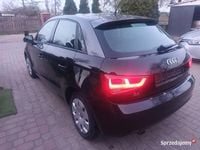 Obraz 3