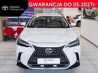 Obraz 1