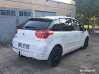 Obraz 2