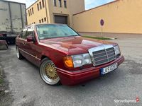 Obraz 3