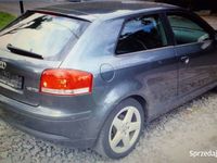 używany Audi A3 8p 1.9Tdi 105 ps