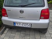 Obraz 3
