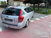 Obraz 3