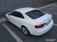 Obraz 3