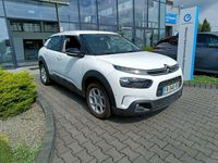 używany Citroën C4 Cactus Shine 1.2 PureTech Drugi