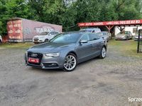 Używany Audi A5 Sportback 245 KM (180 kW) 2014 Inny (metalik) Hatchback