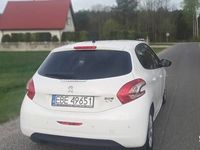 Obraz 3
