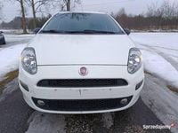 Używany Fiat Punto Evo 2014 Biały Hatchback
