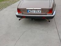 Obraz 3