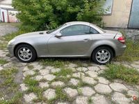 Obraz 1