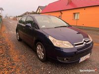 Obraz 1