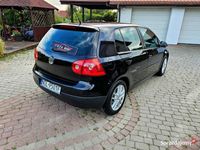 Obraz 3