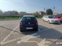 Obraz 3