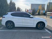 Używany Alfa Romeo Stelvio 280 KM (205 kW) 2017 SUV