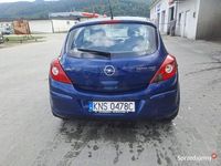 Obraz 3