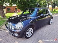 Obraz 3